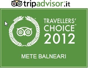 top 10 tripadvisor 2011